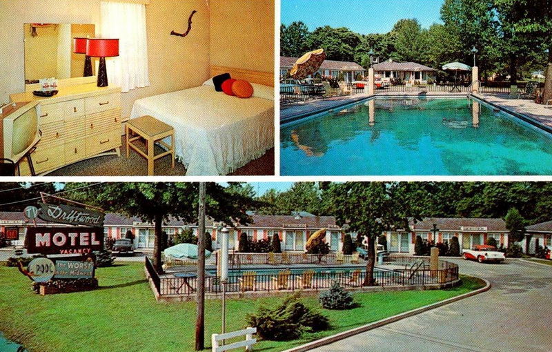 Driftwood Motel - Vintage Postcard